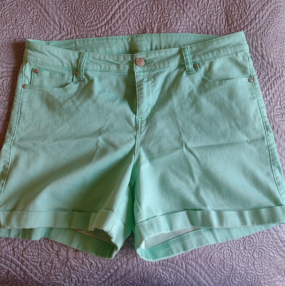 Teal Shorts